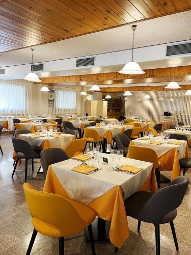 46929 Futura Club Avent Italia z 