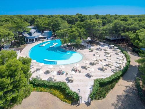 Bluserena alborea-6