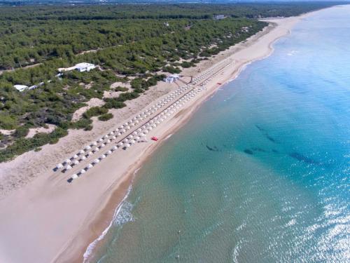 Bluserena alborea-8